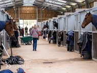 BP210325-64 - Ben Pauling Stable Visit